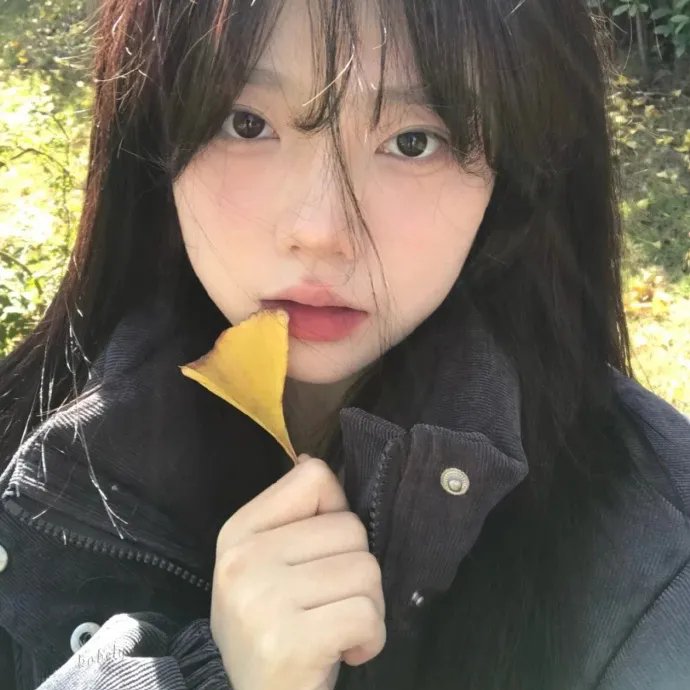 蜂蜜与四叶草第一季